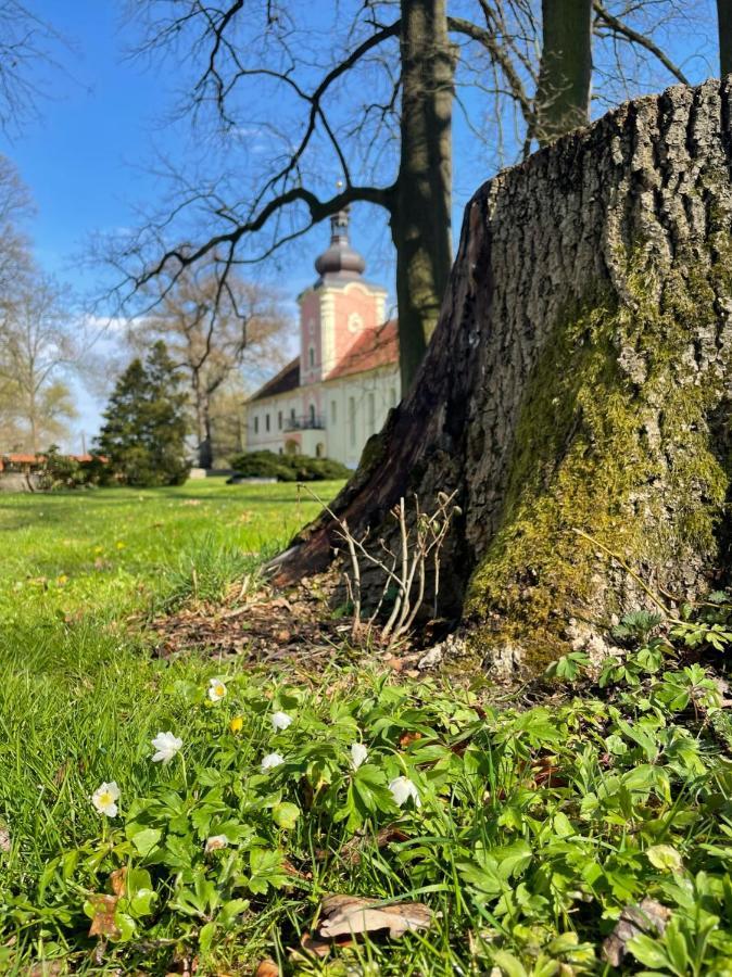 Penzion Zamek Lesany Netvořice Exterior foto