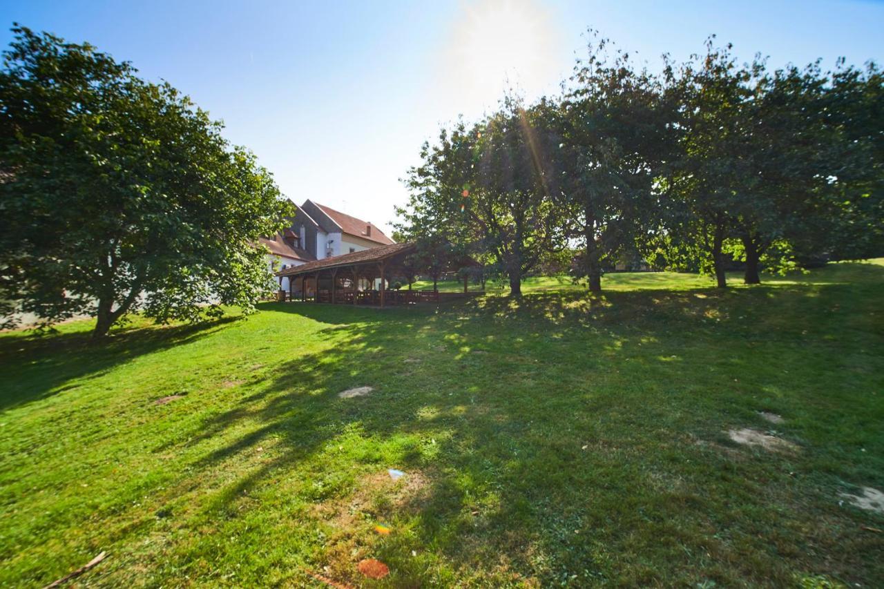Penzion Zamek Lesany Netvořice Exterior foto
