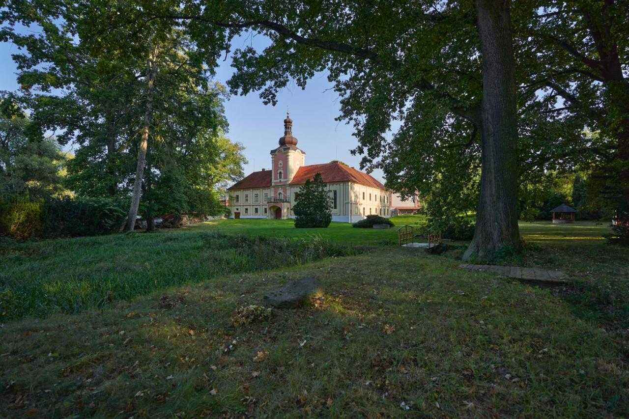 Penzion Zamek Lesany Netvořice Exterior foto