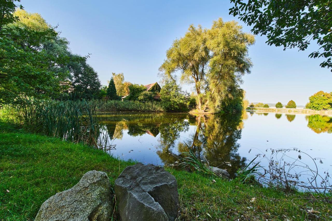 Penzion Zamek Lesany Netvořice Exterior foto