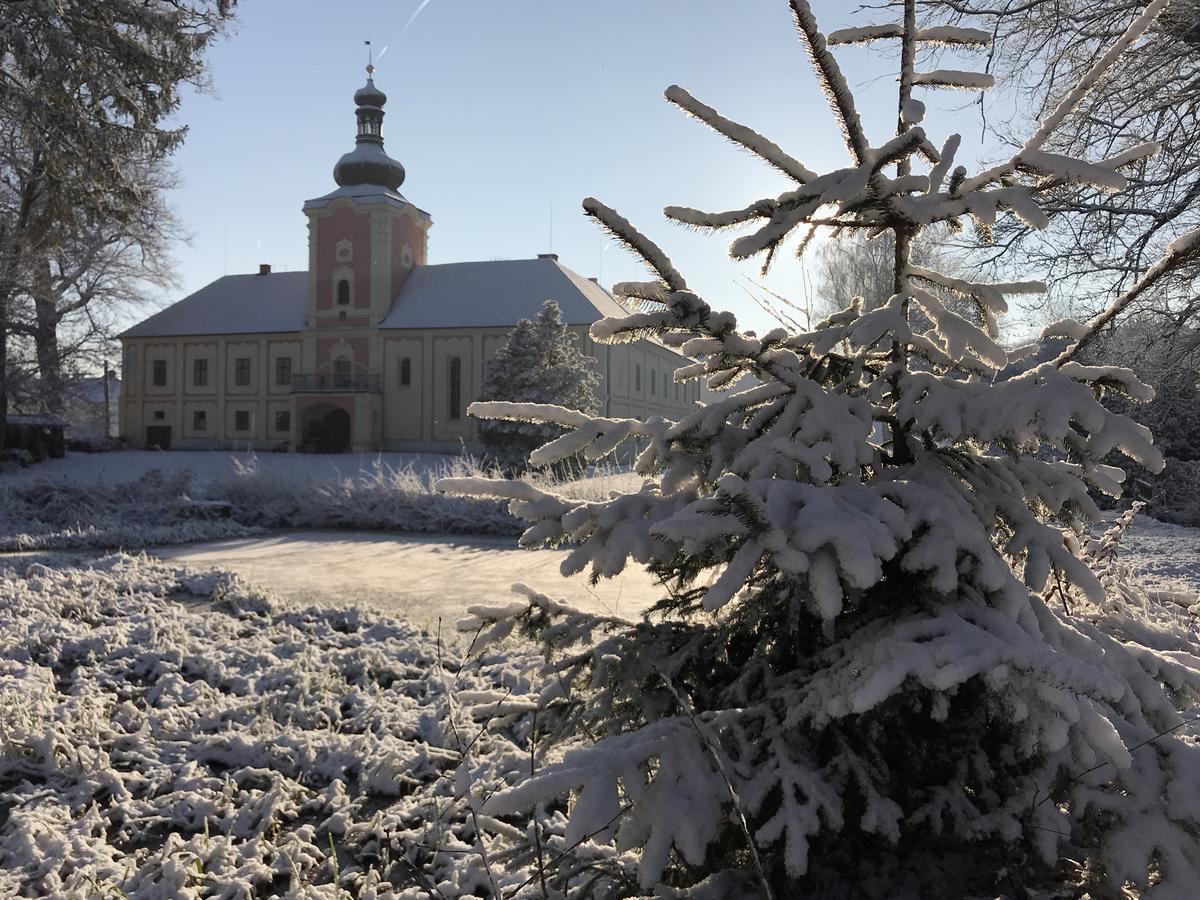Penzion Zamek Lesany Netvořice Exterior foto