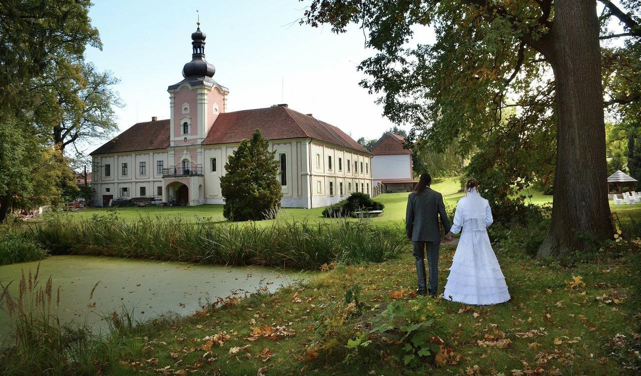 Penzion Zamek Lesany Netvořice Exterior foto